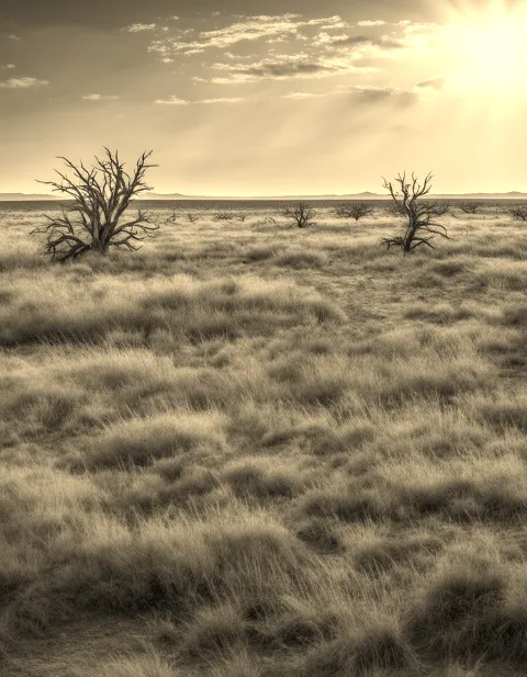 harsh prairie lands of oklahoma