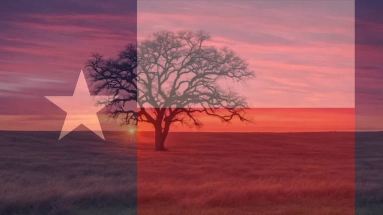 texas flag and landscape